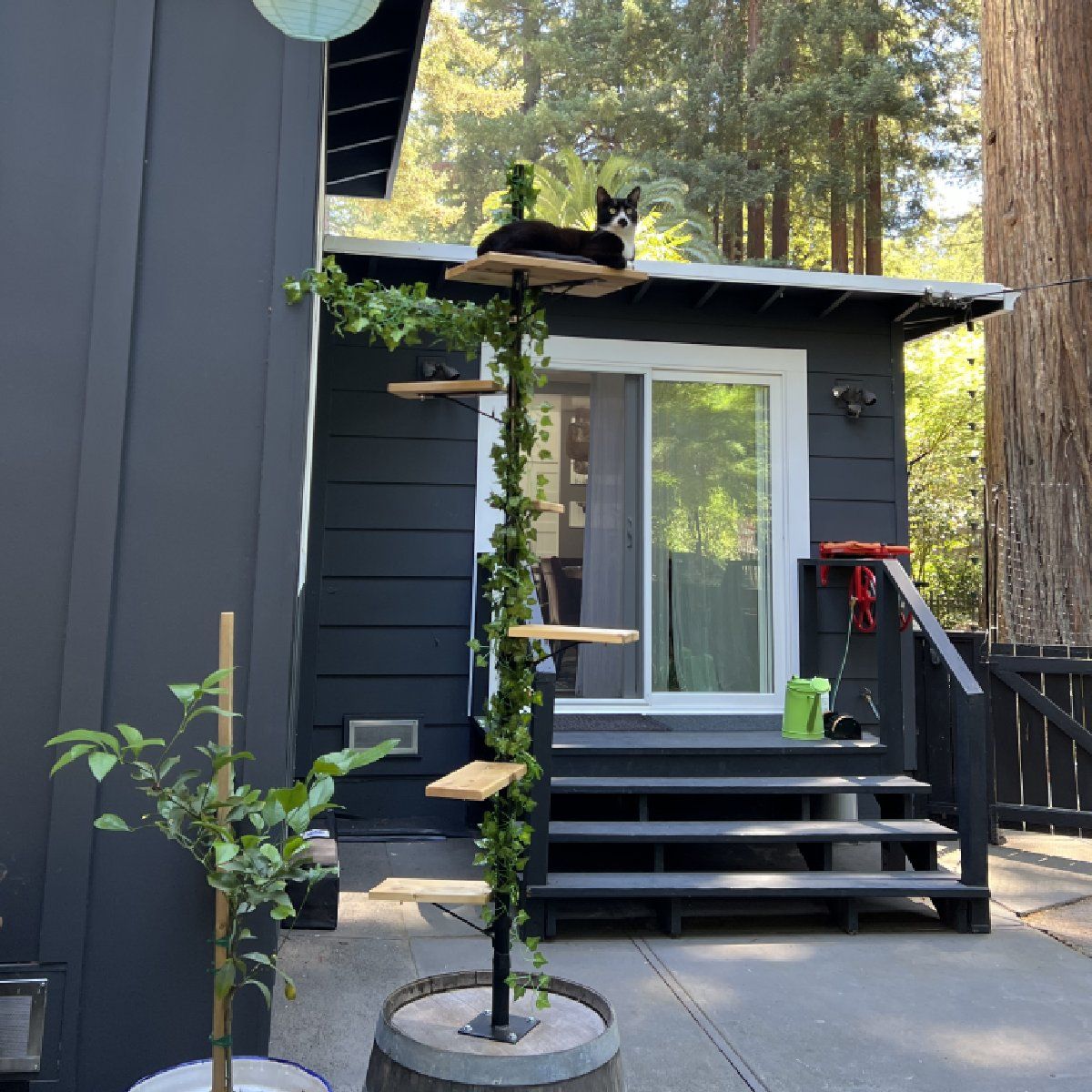 Purrfect Perch Outdoor Cat Tree