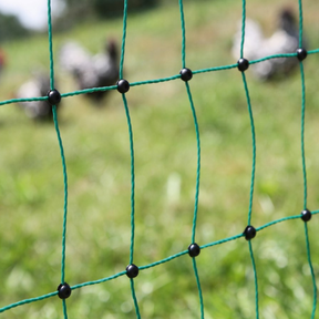 Doblit Poultry Netting Double Pegged 112cm, 50m Green