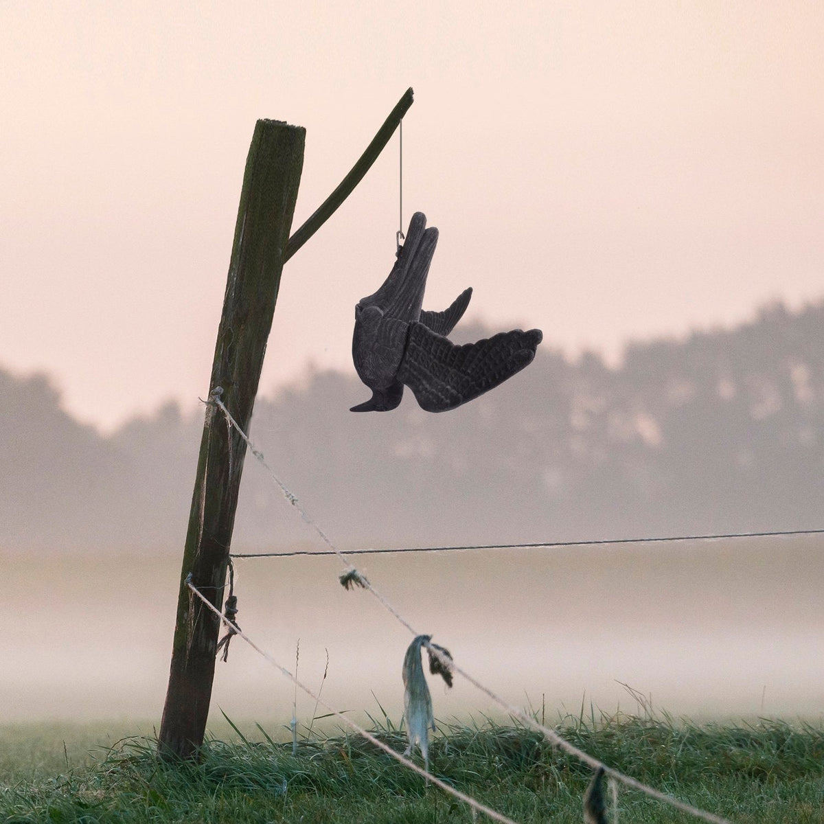 Portek Realistic Hanging Crow Visual Bird Scarer
