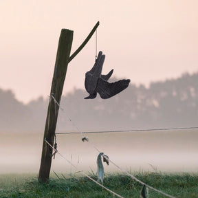 Portek Realistic Hanging Crow Visual Bird Scarer