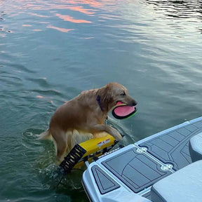 Boat Swim-Ladder Mounted Dog Ladder