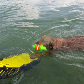 Boat Swim-Ladder Mounted Dog Ladder