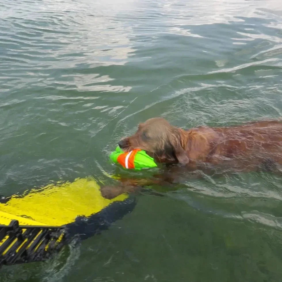 Boat Swim-Ladder Mounted Dog Ladder