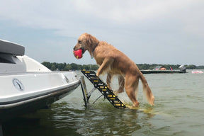 Boat Swim-Ladder Mounted Dog Ladder