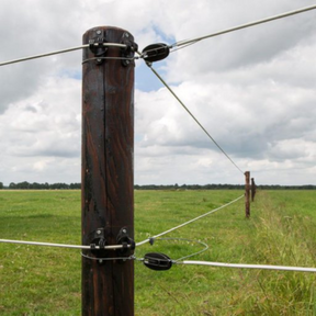 End/Corner Strain Insulator - Egg Insulator Electric Fence