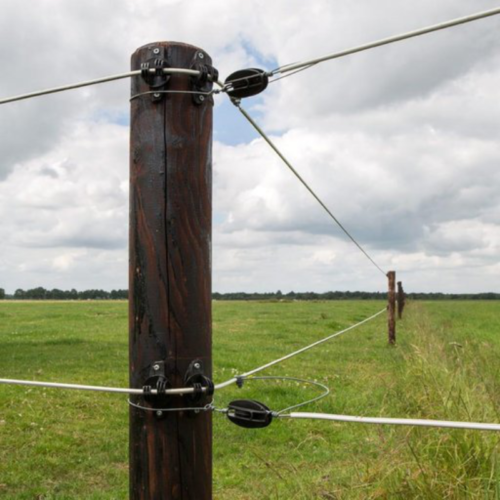 End/Corner Strain Insulator - Egg Insulator Electric Fence