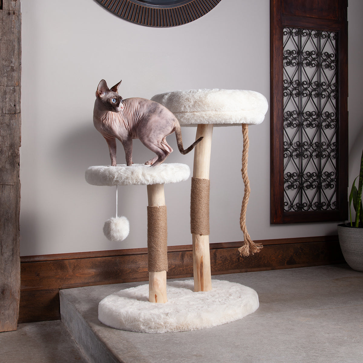 The Oasis Cat Tree
