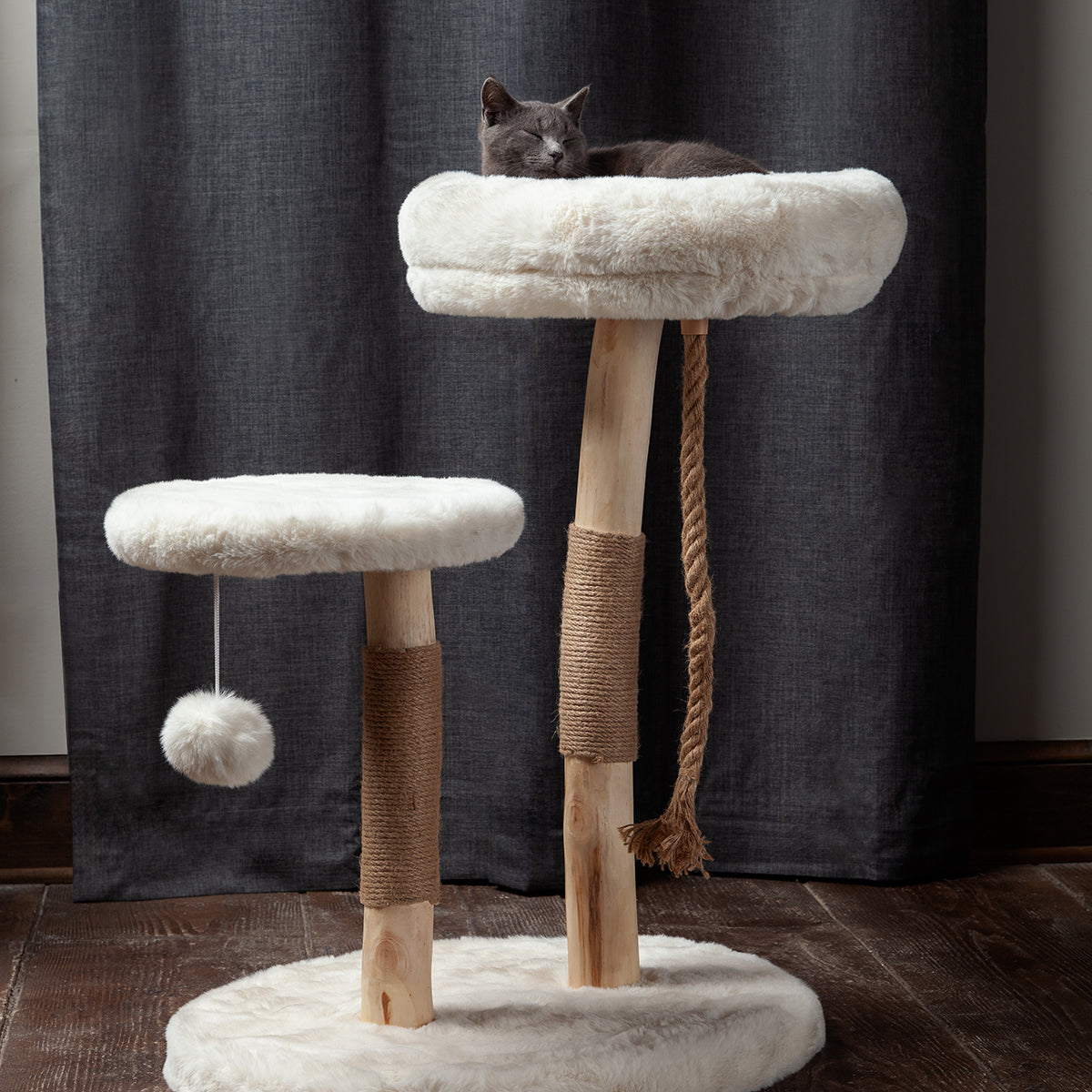 The Oasis Cat Tree