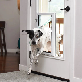 In-Glass Dog Door