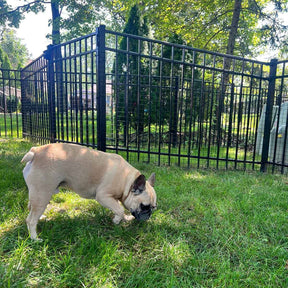 Wide Gap Barrier Dog Fence Kit
