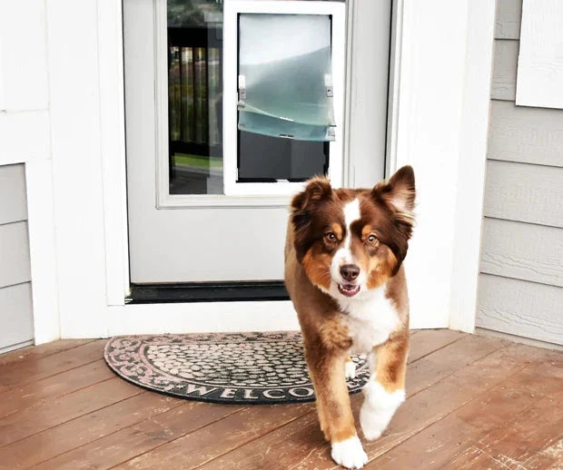 In-Glass Dog Door
