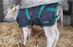 Forcefield Calf Care Calf Jacket 70cm Back (Medium)