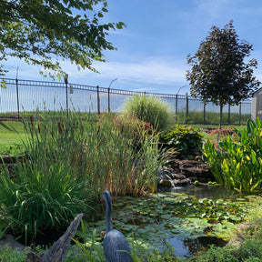 Existing Fence Conversion System Kit for Cats