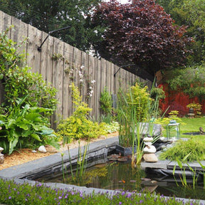 Existing Fence Conversion System Kit for Cats