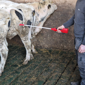 AniShock PRO 2500 Akku Electric Prodder Cattle/Pig Coaxer