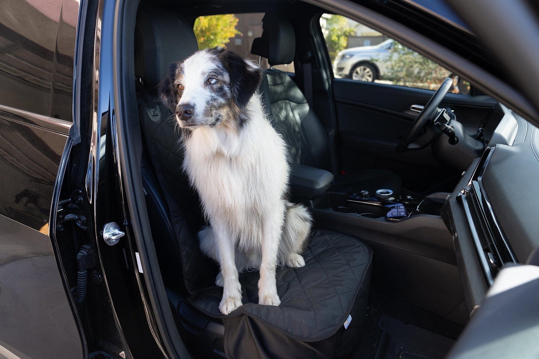 Dog Seat Covers - Front Seat Cover