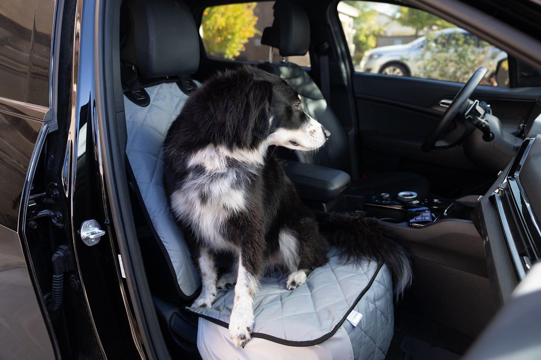 Dog Seat Covers - Front Seat Cover