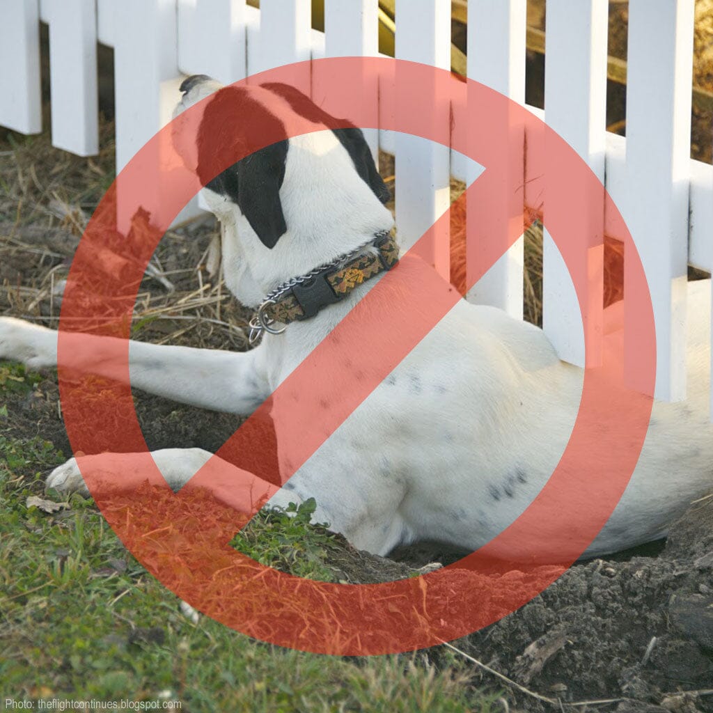 Dig Proofer Kit ⏤ No-Dig Dog Fence