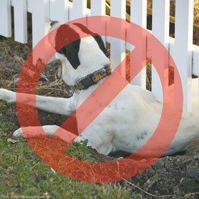 Dig Proofer Kit ⏤ No-Dig Dog Fence