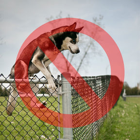 Dog Fence Height Extension Kit