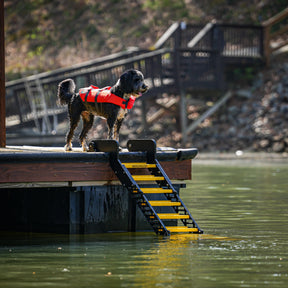 Dock Dog Ladder