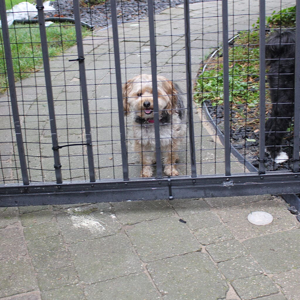 Wide Gap Barrier Dog Fence Kit