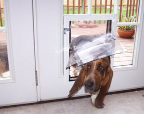 Dog Door - Door Model