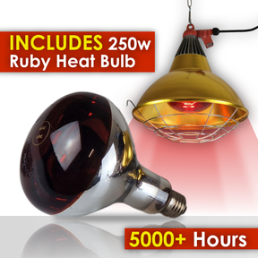 Infrared Heat Lamp Heater with High / Low Switch 250w