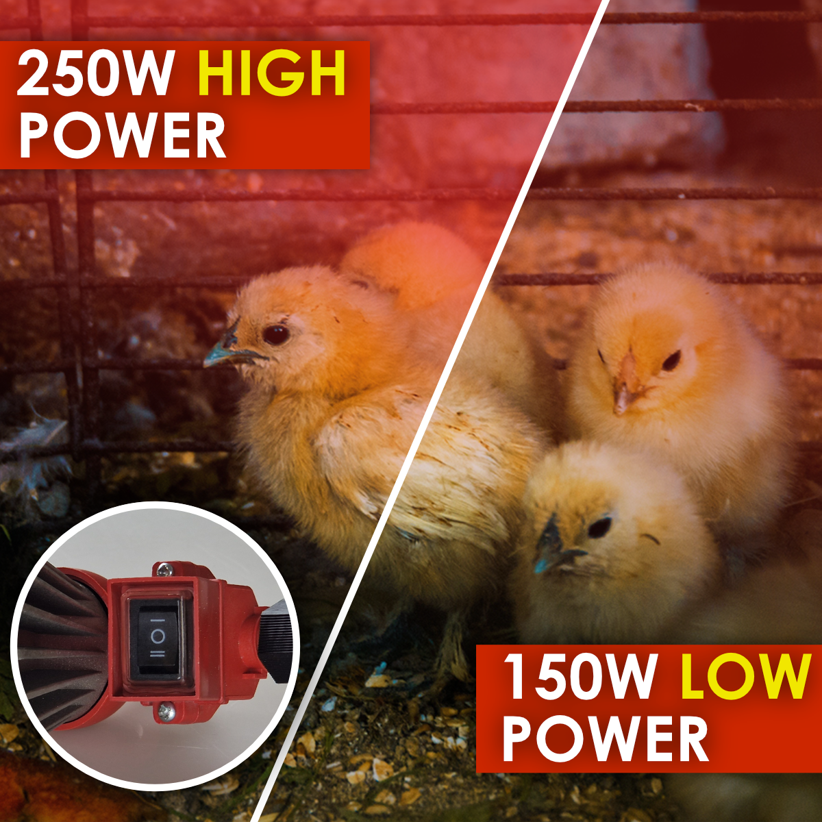 Infrared Heat Lamp Heater with High / Low Switch 250w