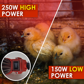 Infrared Heat Lamp Heater with High / Low Switch 250w