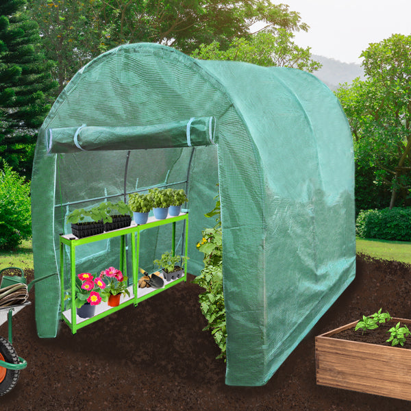 Polytunnel with 19mm Frame, 4m x 2m, Includes Racking