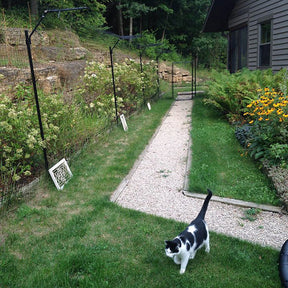 Free-Standing Cat Fence Enclosure System