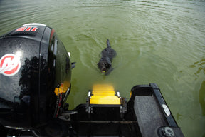 Hunting Boat Dog Ladder