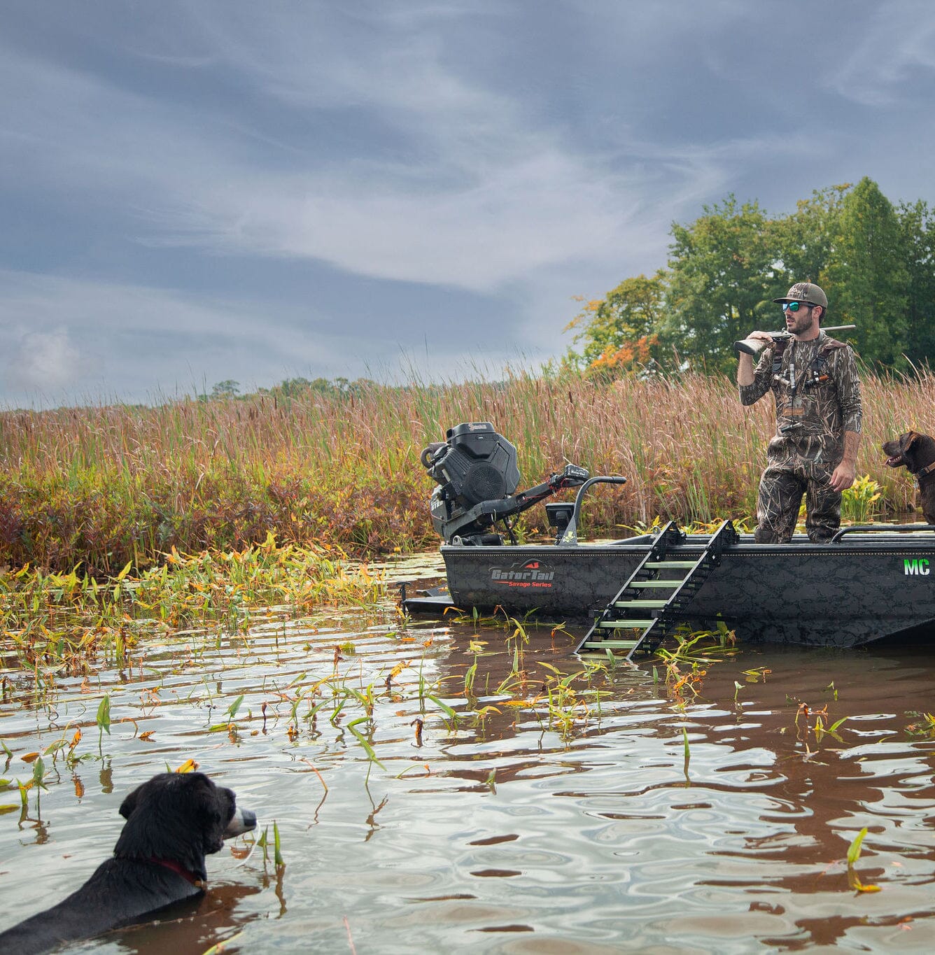 Hunting Boat Dog Ladder