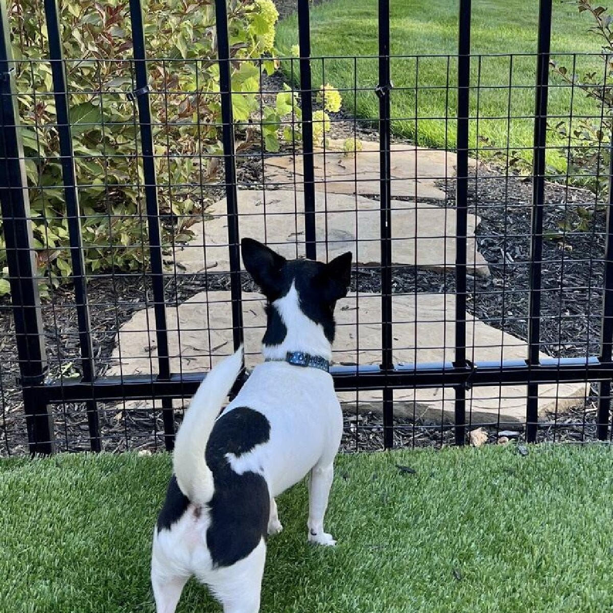 Wide Gap Barrier Dog Fence Kit
