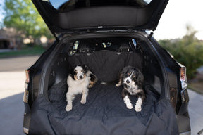 Dog Cargo Liner