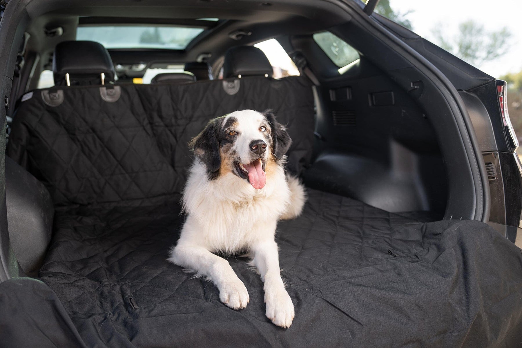 Dog Cargo Liner