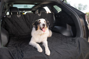 Dog Cargo Liner