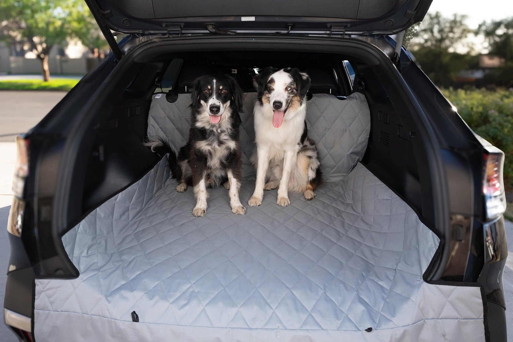 Dog Cargo Liner