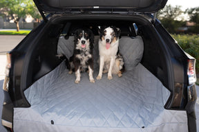 Dog Cargo Liner